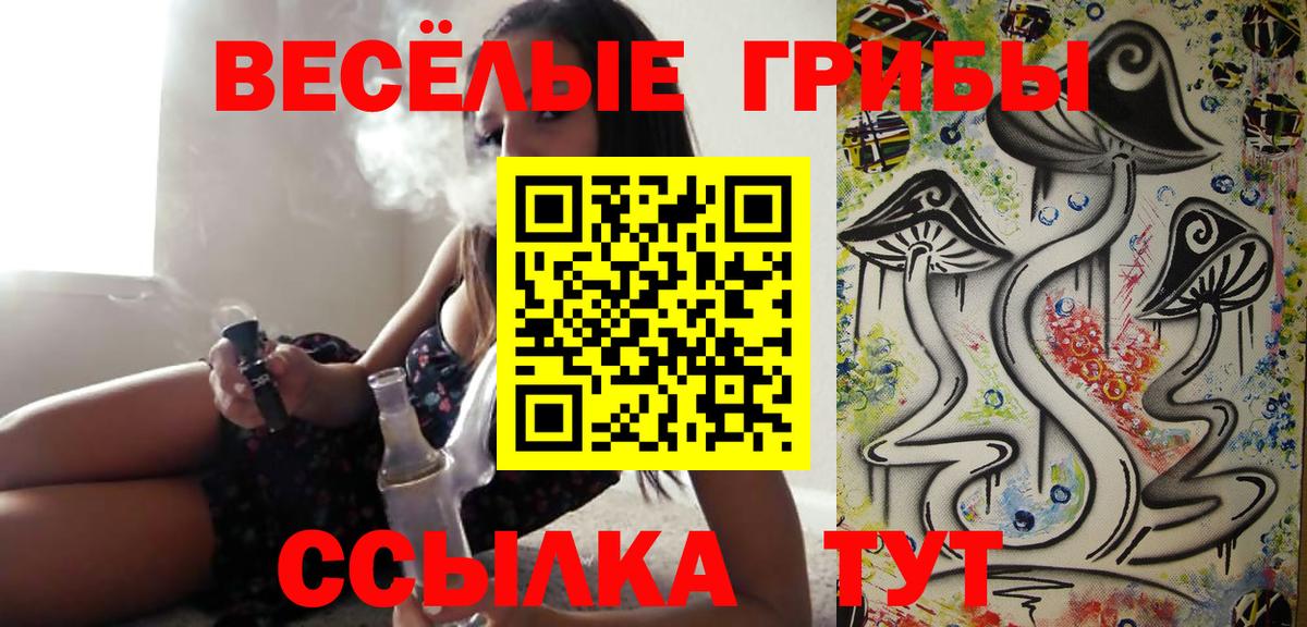 Ногинск  Псилоцибиновые грибы Psilocybe  Вход с VPN 