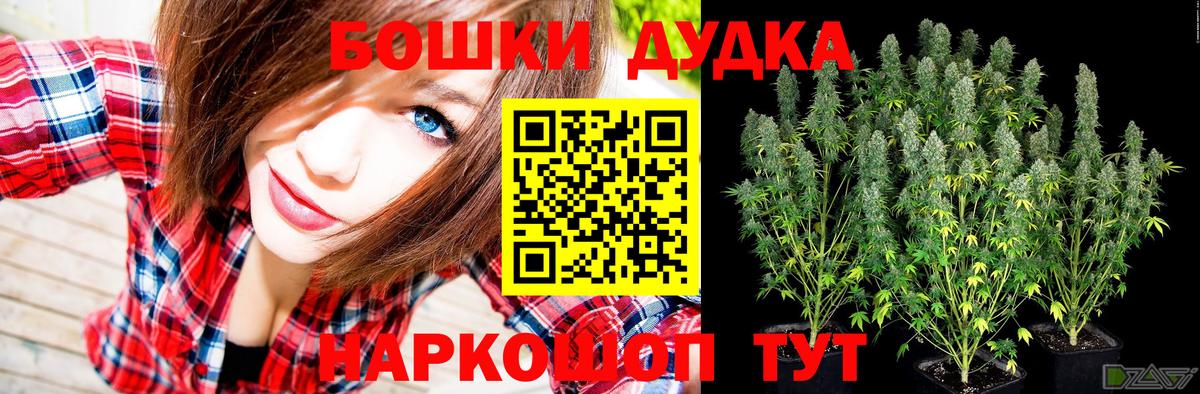 Канабис план Ногинск